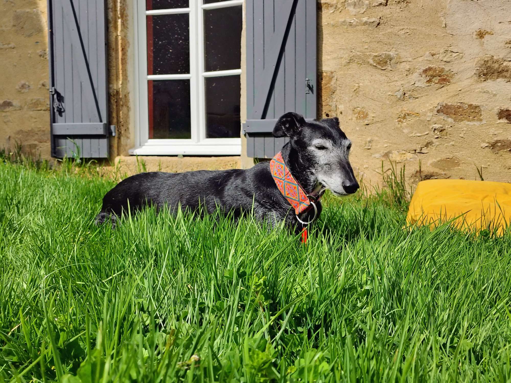 Family moments in nature